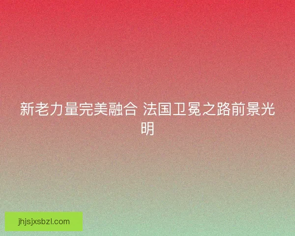 新老力量完美融合 法国卫冕之路前景光明